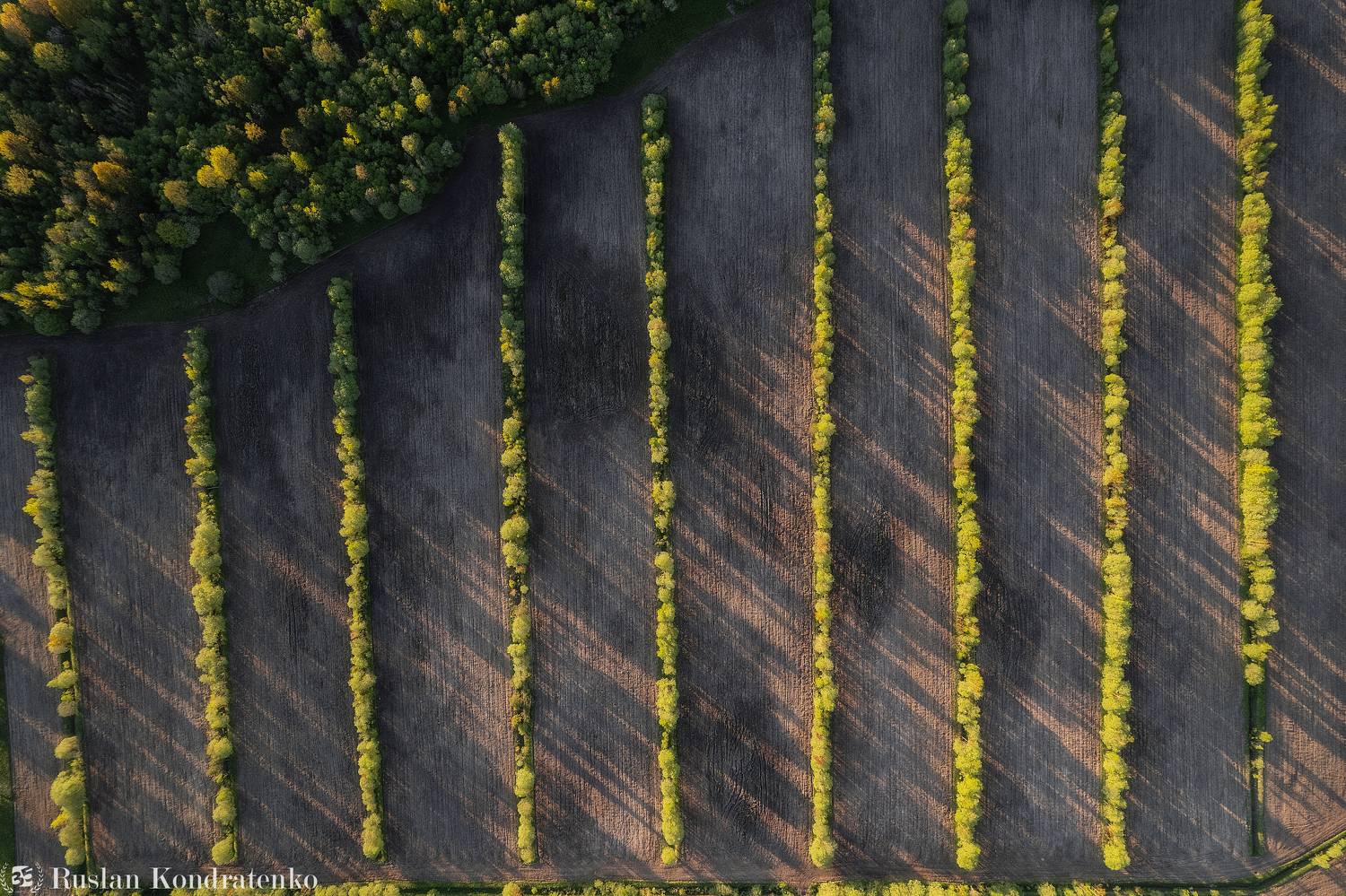 ленинградская область, аэрофото, аэрофотография, дрон, съемка с дрона, Кондратенко Руслан