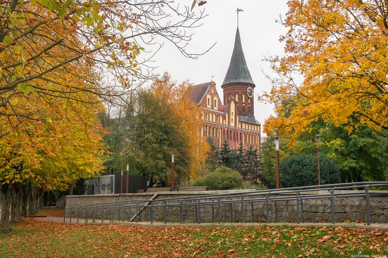 калининград, городской пейзаж, архитектура, осень Собор. Осень фото превью