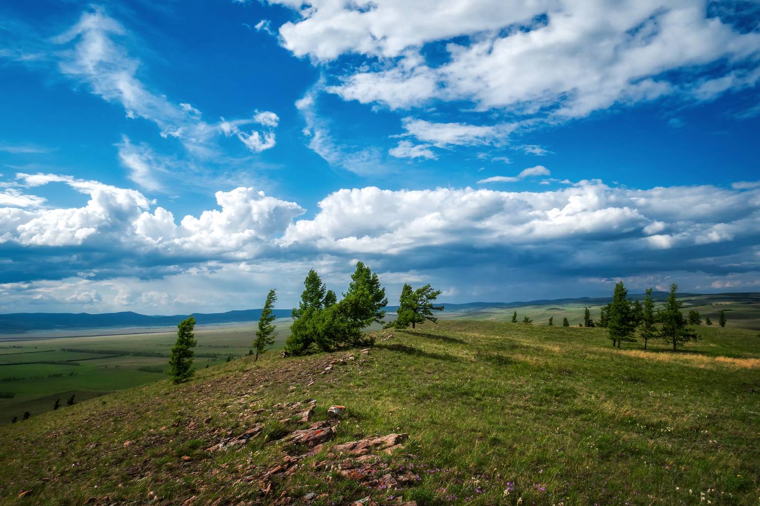 , Nikitin Alexander