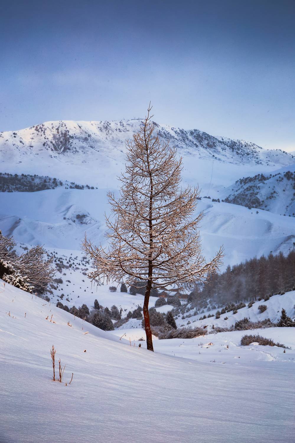 кыргызстан, урочище чункурчак, Элина Магалимова