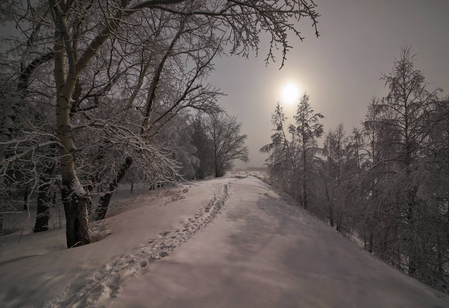 , Алексей Хахлов