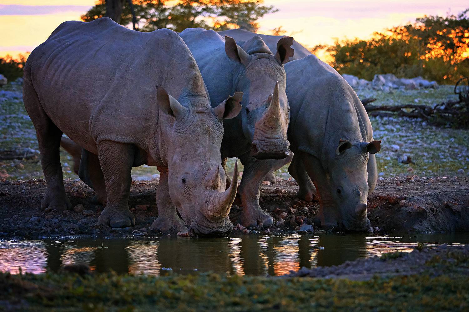 , Худзинская Ирина