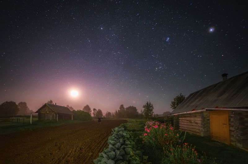 Про звездную ночь, туман и восход луны фото превью