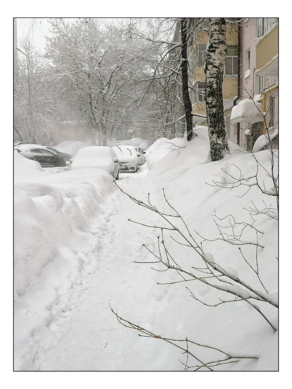 , Герасимова Алёна