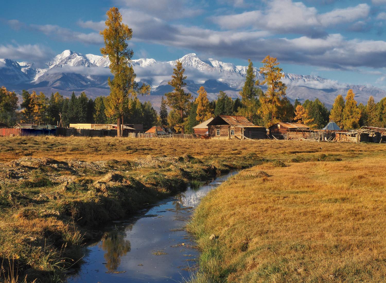 , Галина Хвостенко