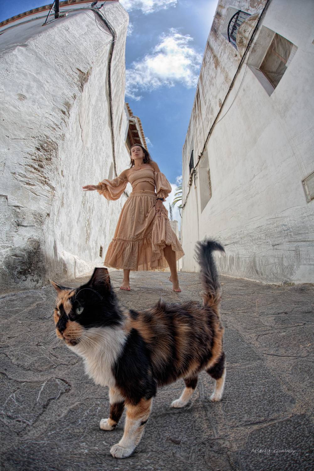 , Арсений Глинский