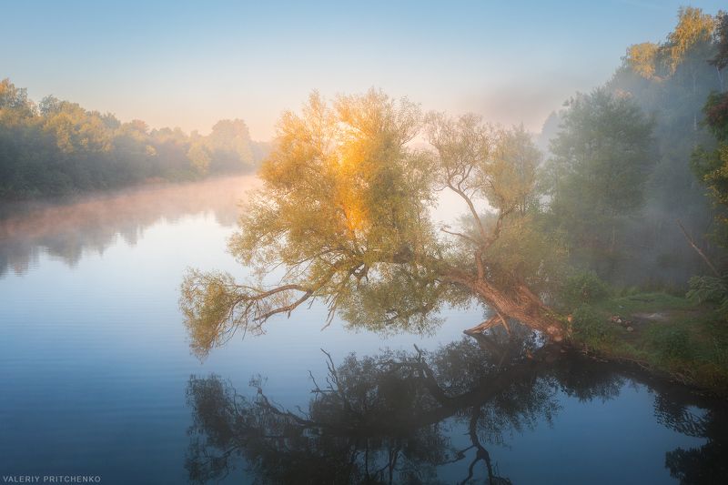 утро, рассвет, пейзаж, природа, туман, осень, дерево, morning landscape, nature, autumn, tree, fog, calm Утро на озере фото превью