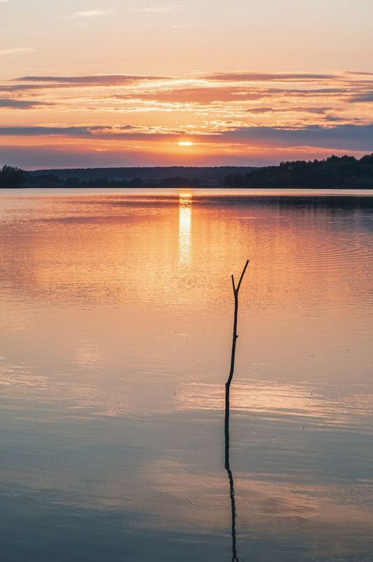 Закат у пруда фото превью