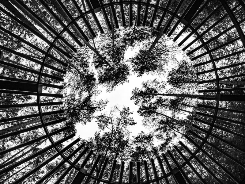 Посмотрите наверх фото превью