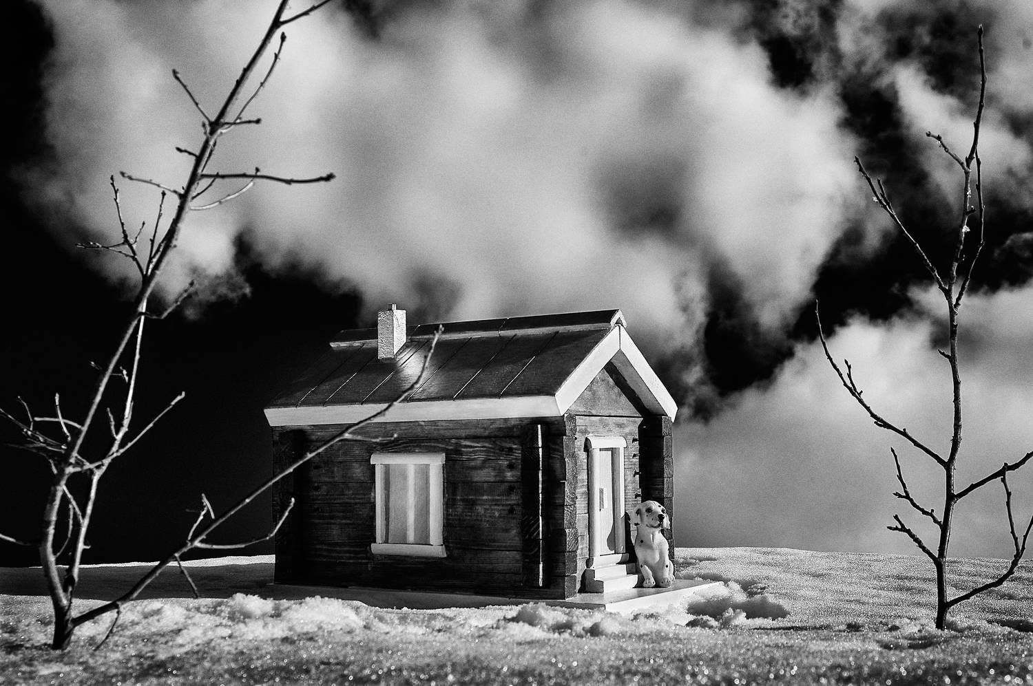 , Сизов Кирилл