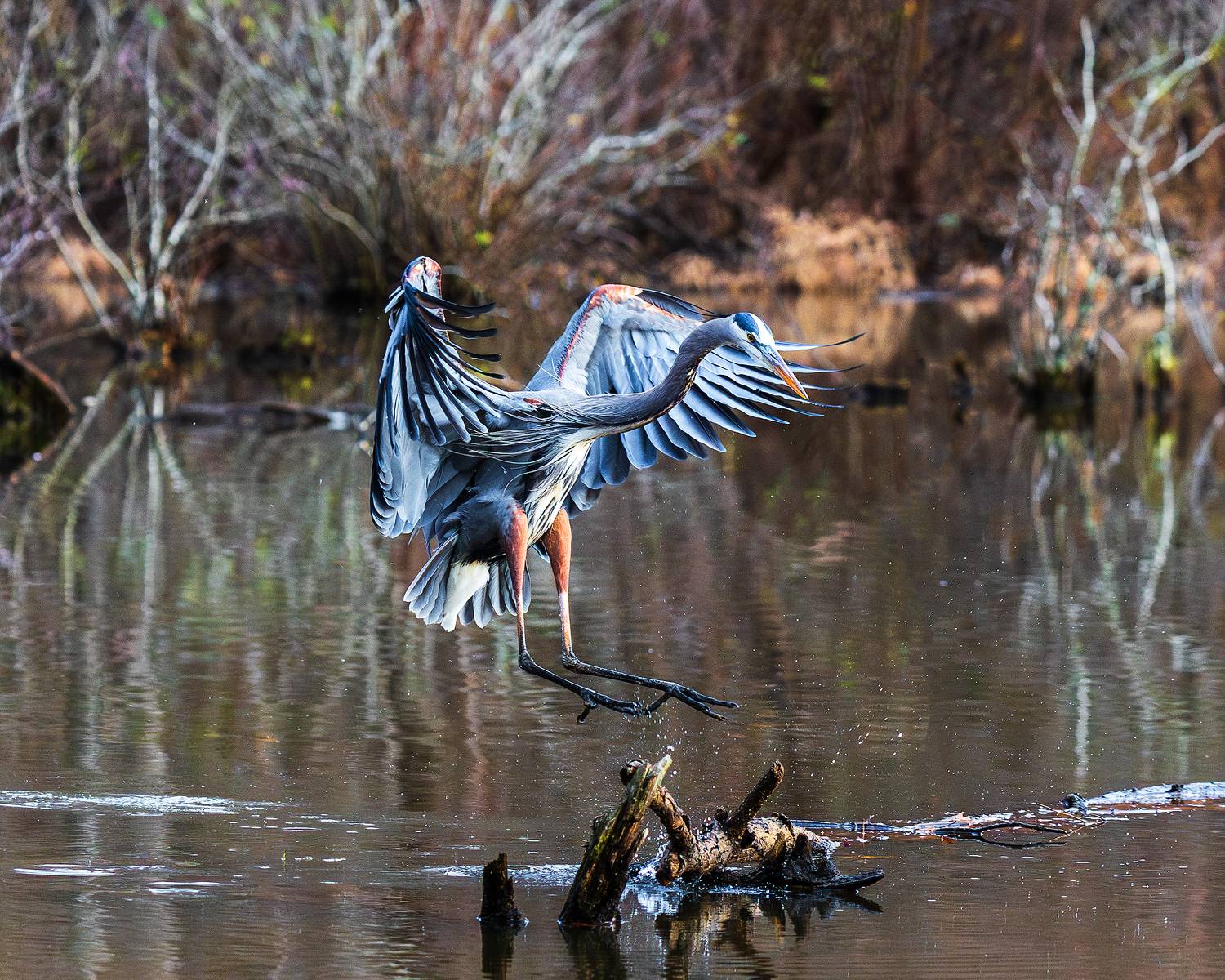 , Леонид Дьяченко