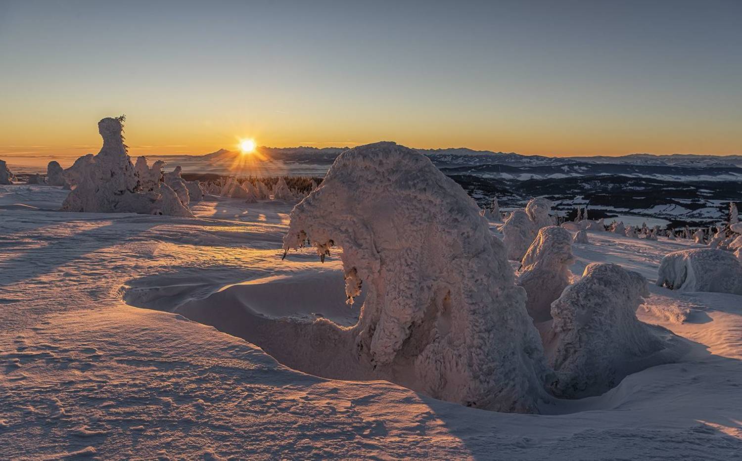 , Sławek Przybylski