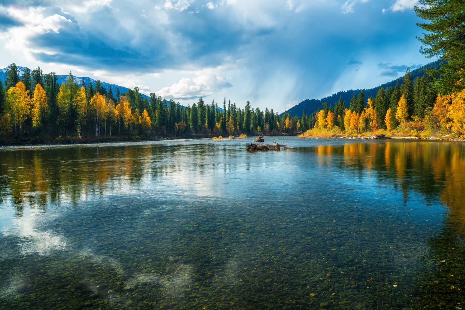 , Nikitin Alexander