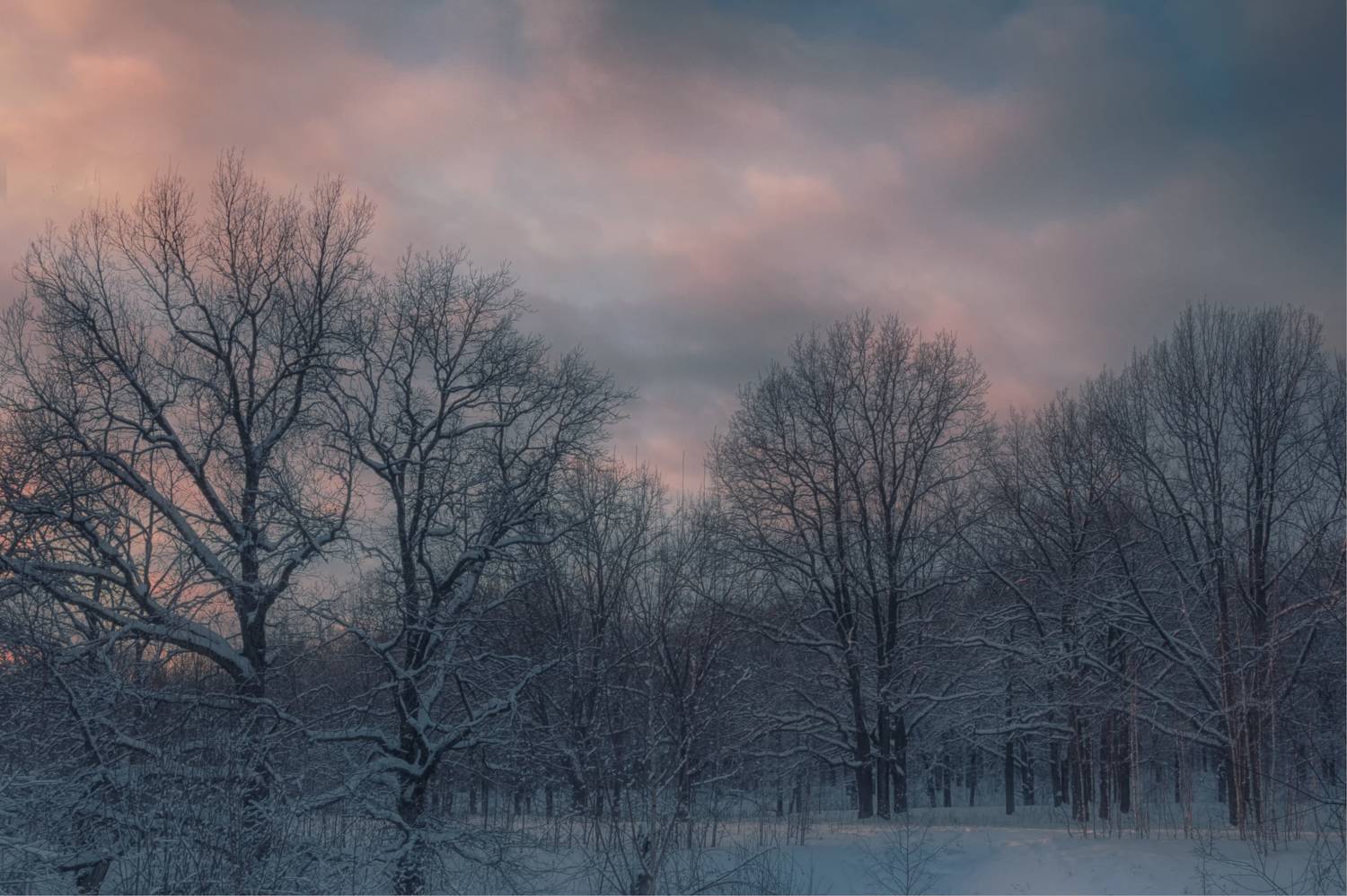 лес снег закат, Вера Петри