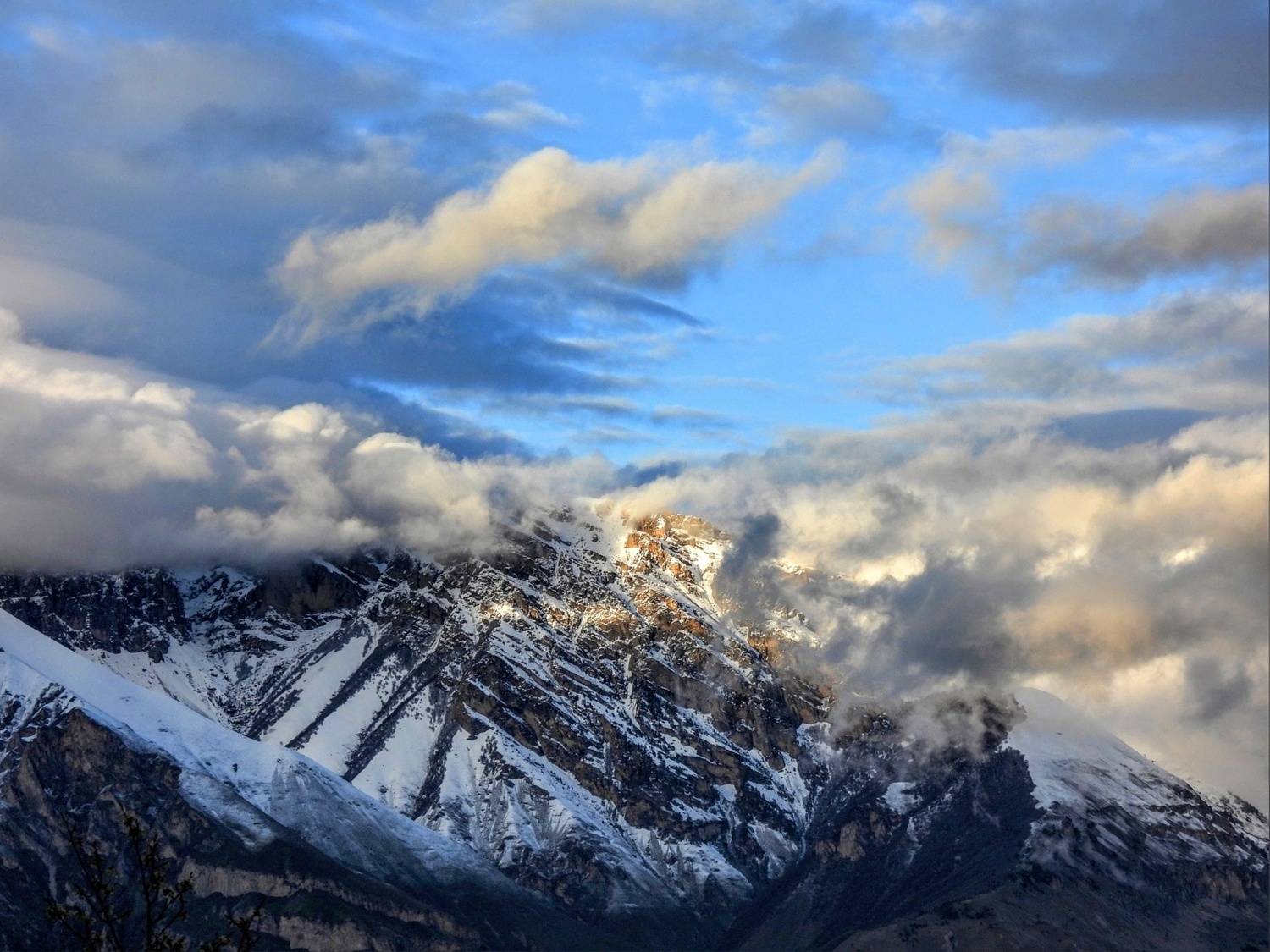 , Лесина Елена