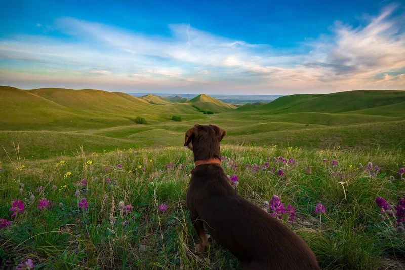 Долгие горы Гармония фото превью