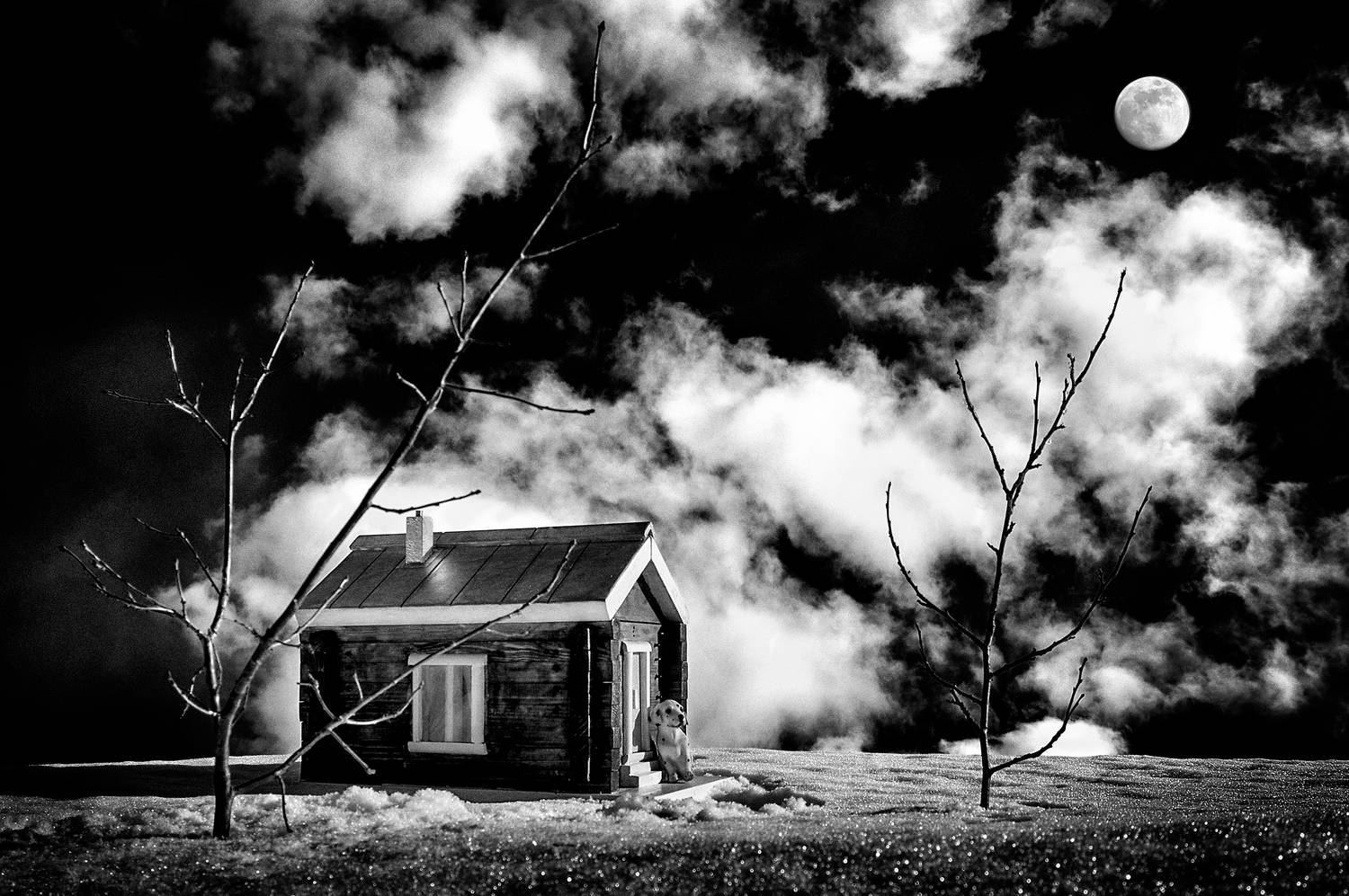 , Сизов Кирилл