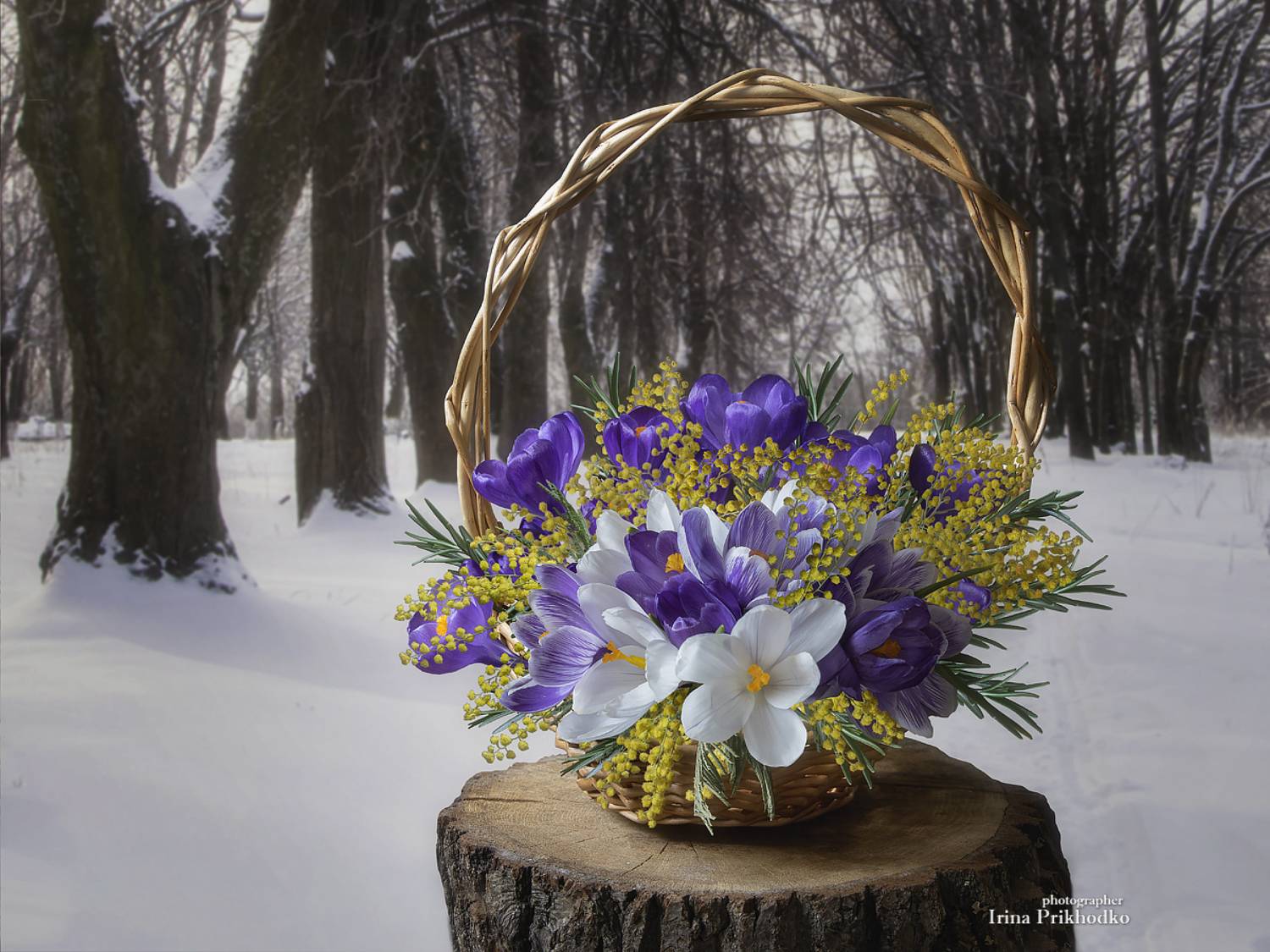натюрморт, парк, пленэр, цветы, корзина первоцветов, Приходько Ирина