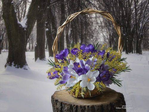 Скоро весна!