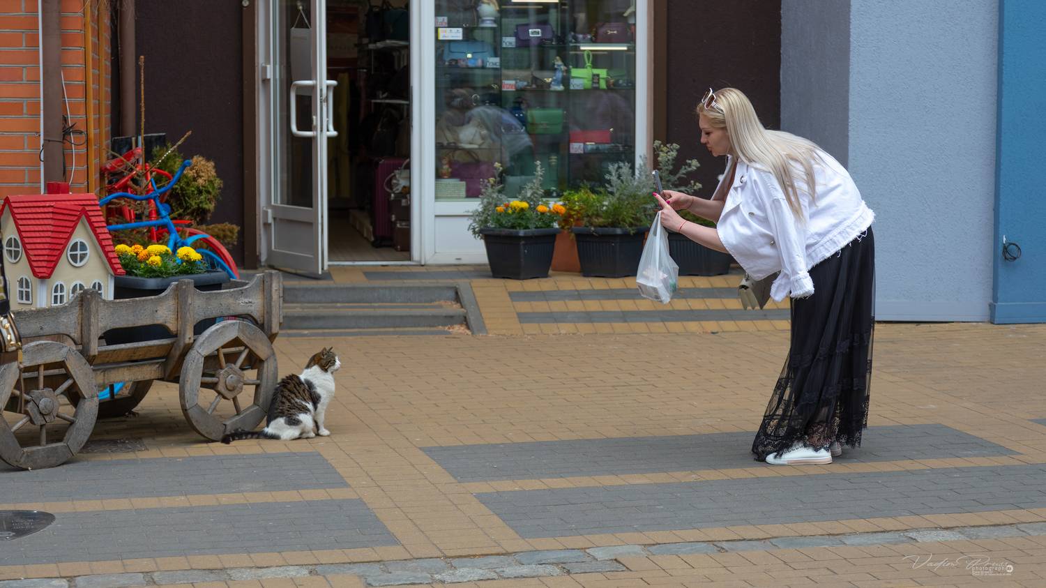 кот, улица, фотосессия, Зеленоградск, стрит, животное, фотография, позитив, Россия, Свирин Вадим, лето, cat, street, photoshoot, Zelenogradsk, street, animal, photography, positive, Russia, Vadim Svirin, summer, Vadim Svirin