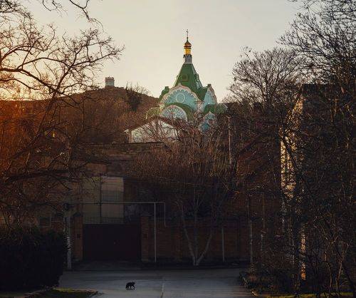 Февральское утро родимых святынь.