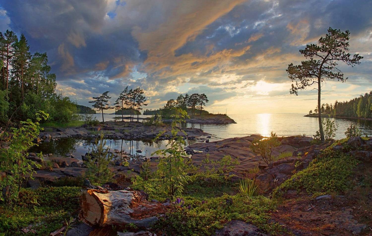 , Петр Косых