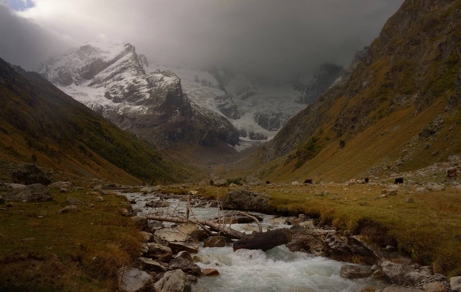 горы осень узункол, Александр Жарников