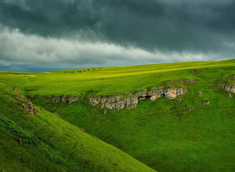 кавказ, кабардино-балкария, приэльбрусье, плато, канжол Высокогорное пастбище фото превью
