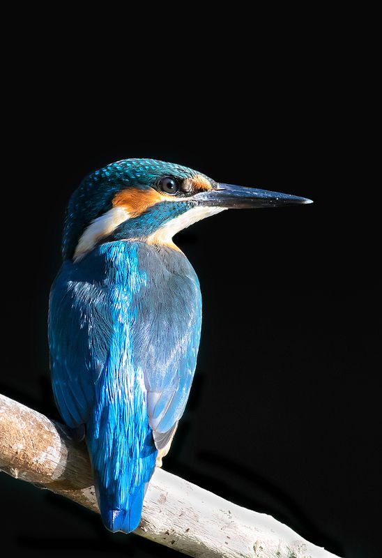 .,,,..,... фото превью