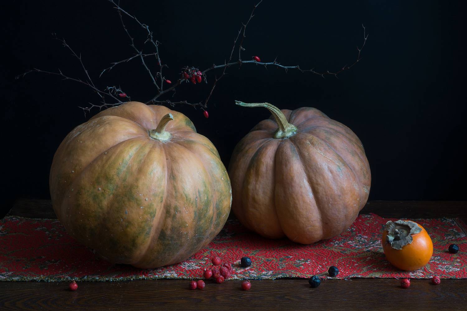 , Колеснева Елена