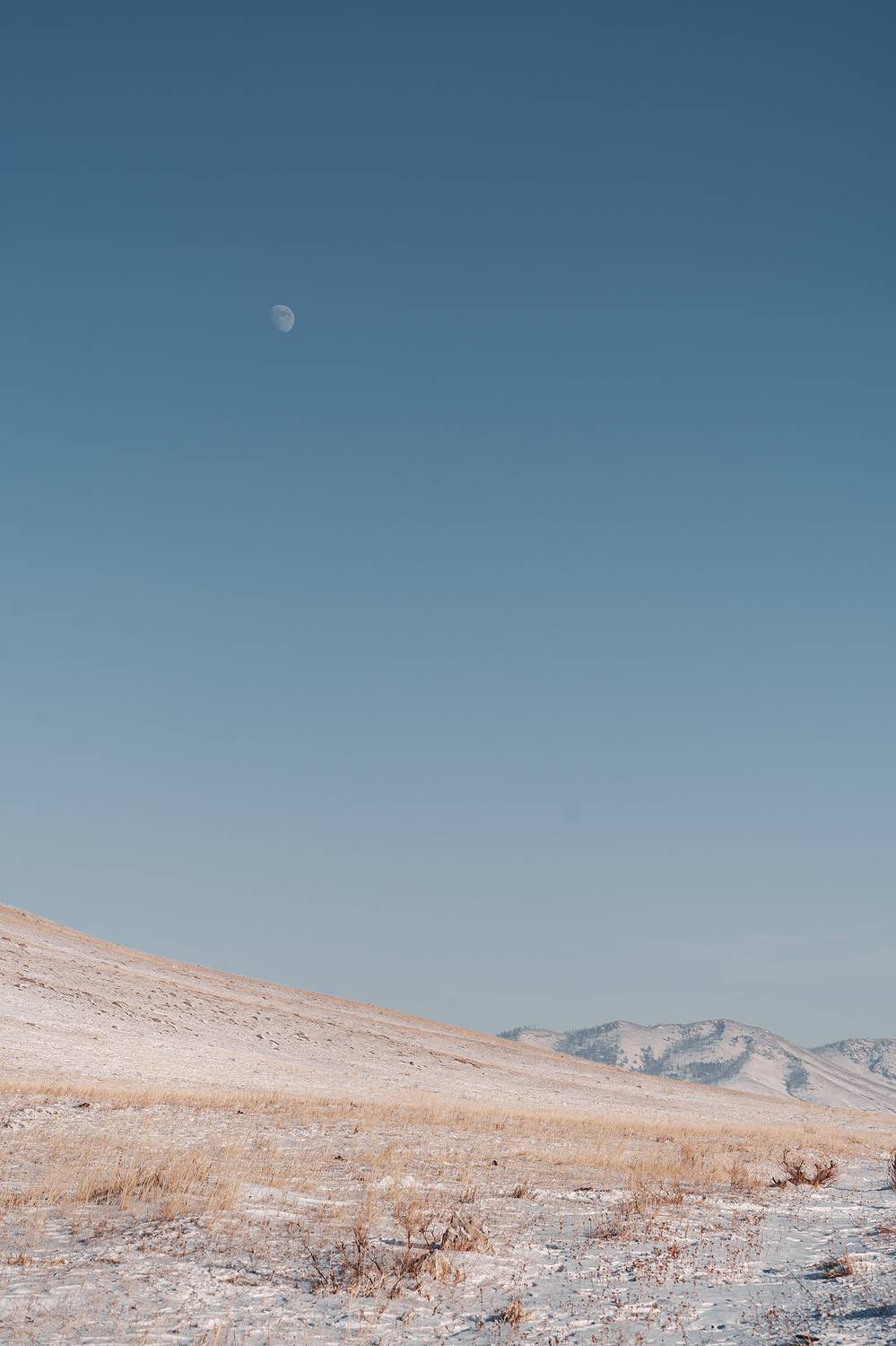 Хакасия, степь, зима, Julia Gorbacheva