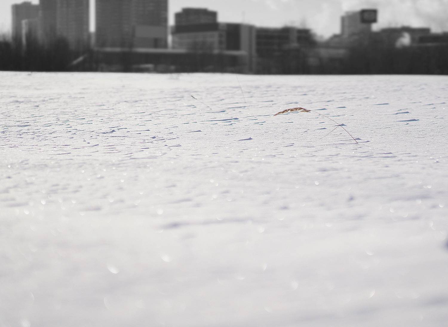 , Виталий Мазурин