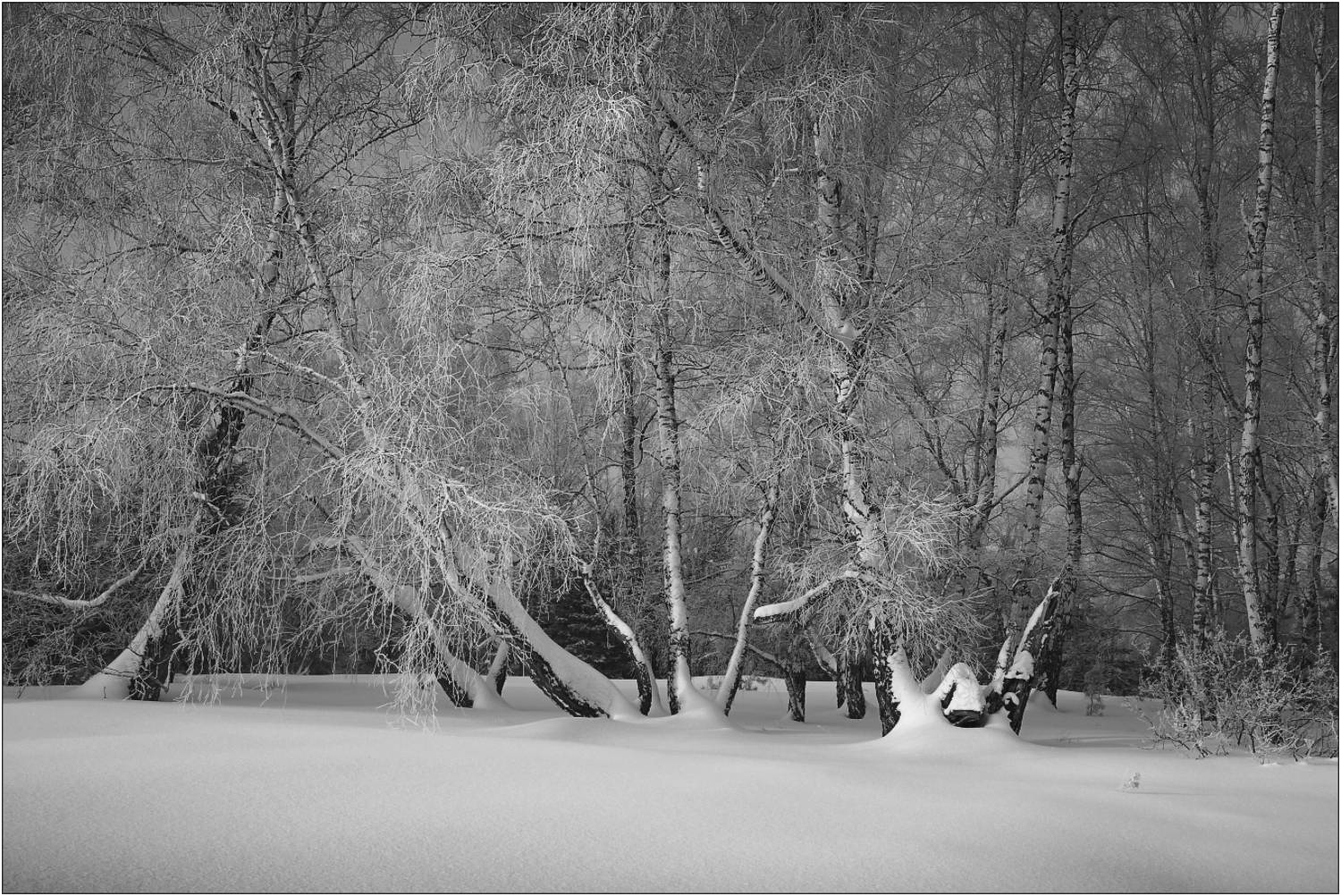 , Евгений Зинов