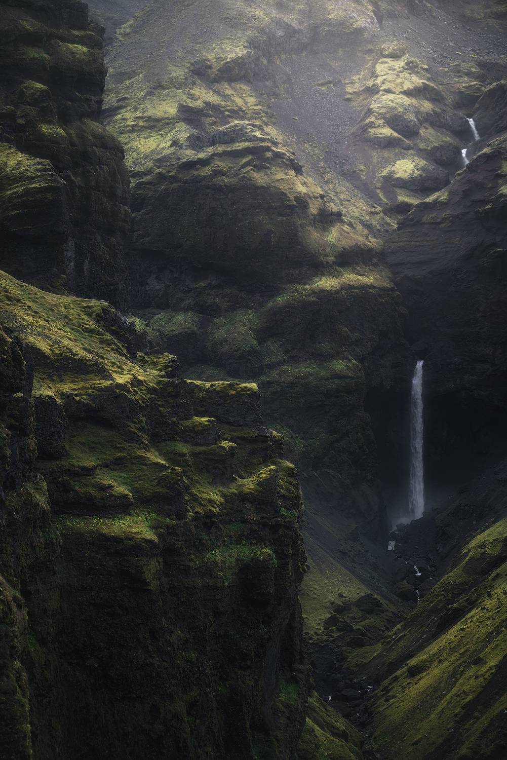 , Kar&aacute;di Zita