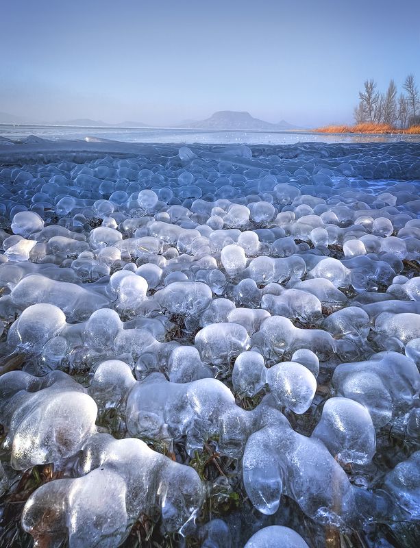hungary, ice, winter, frozen, lake, balaton, landscape, Ice Bubbles фото превью