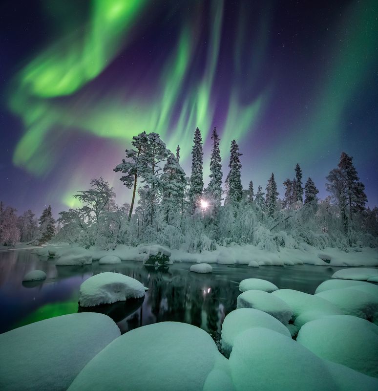 Полярная звезда. фото превью