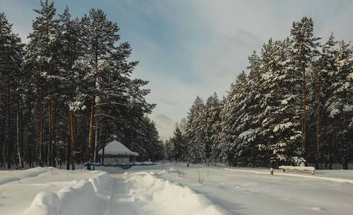 Снежный февраль