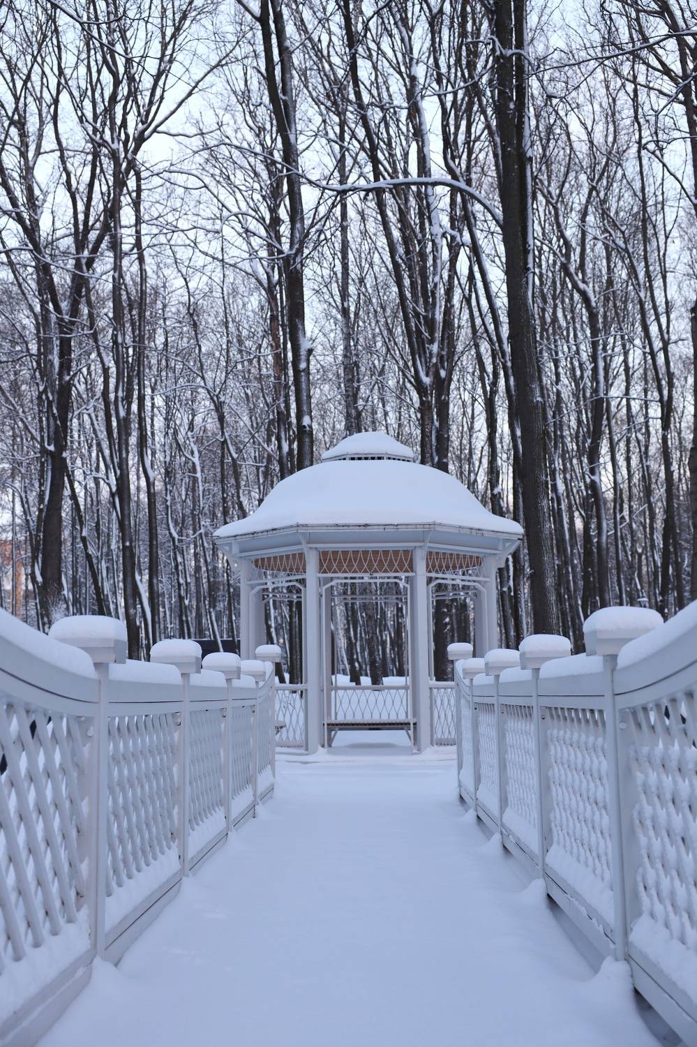 , Колосова Елена