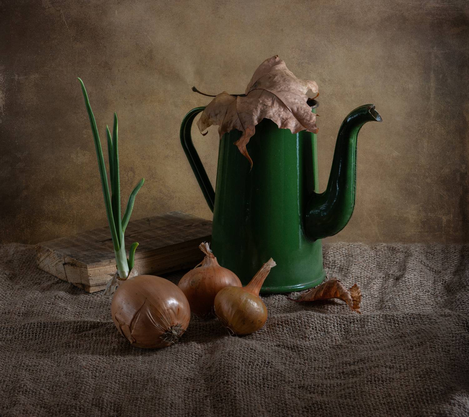 , Елена Павлюк