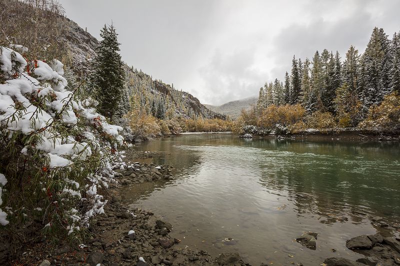 осень, пейзаж, горный алтай, река, чуя, снег, Осенняя Чуя. фото превью