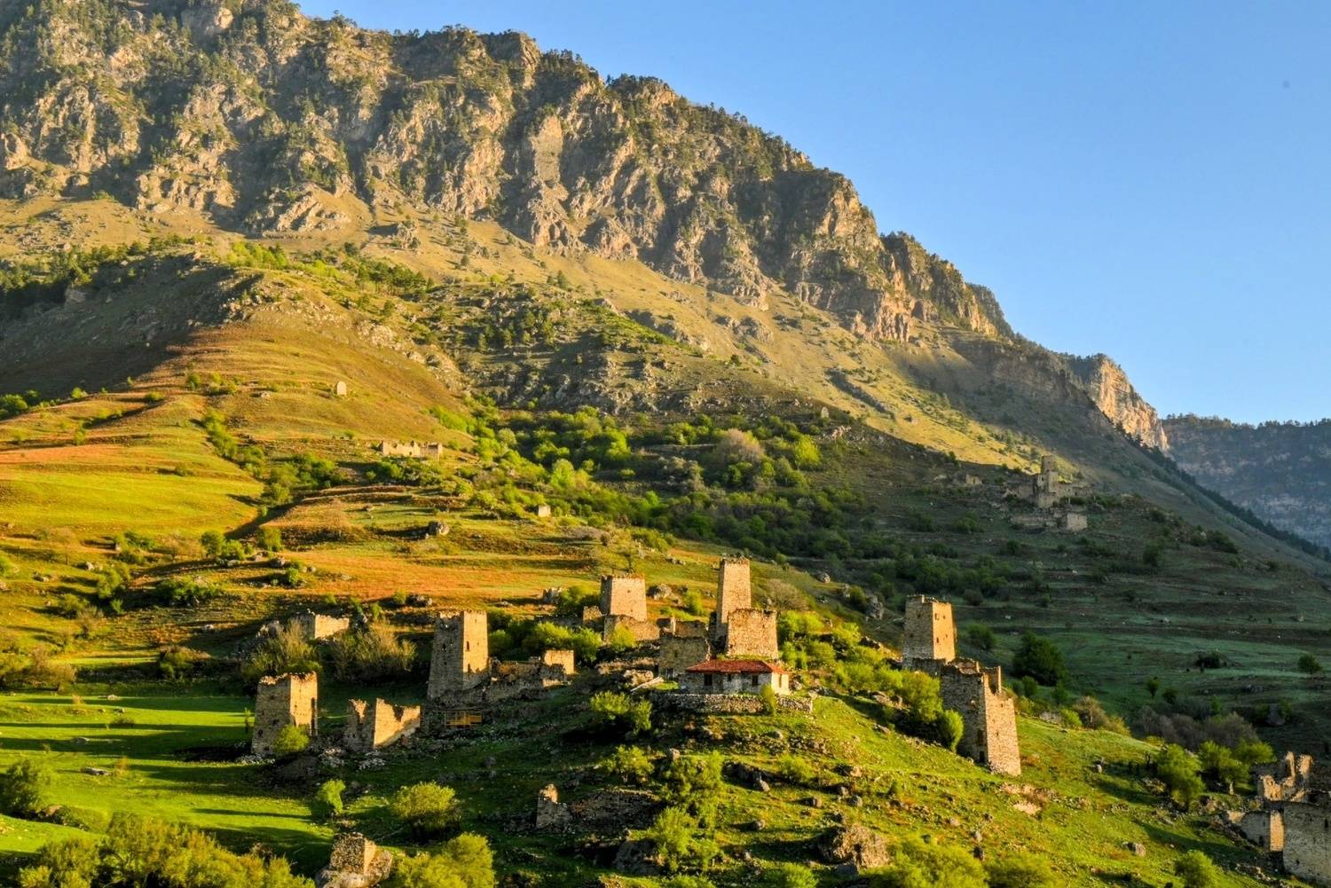 , Лесина Елена