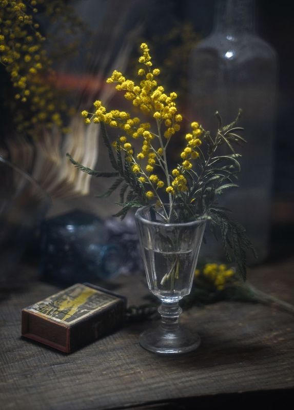 Пьяная мимоза или Мысли вслух фото превью