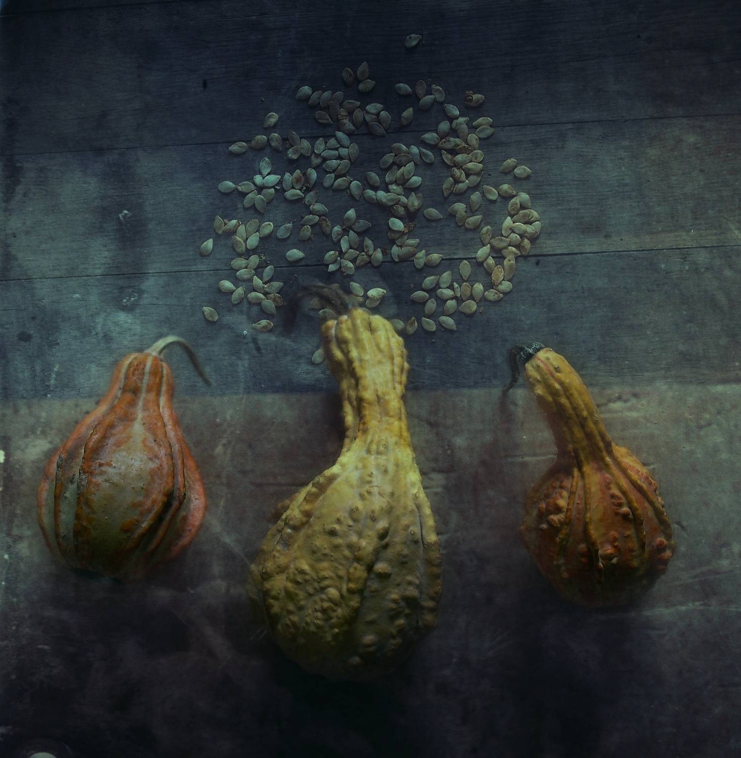 , Димитър Стоянов