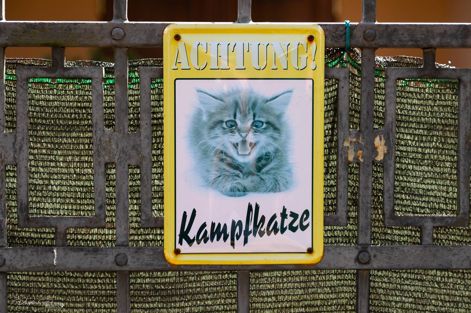 Зеленоградск, кот, табличка, юмор, позитив, предупреждение, фотография, забор, Россия, Свирин Вадим, Zelenogradsk, cat, sign, humor, positive, warning, photograph, fence, Russia, Vadim Svirin, Vadim Svirin