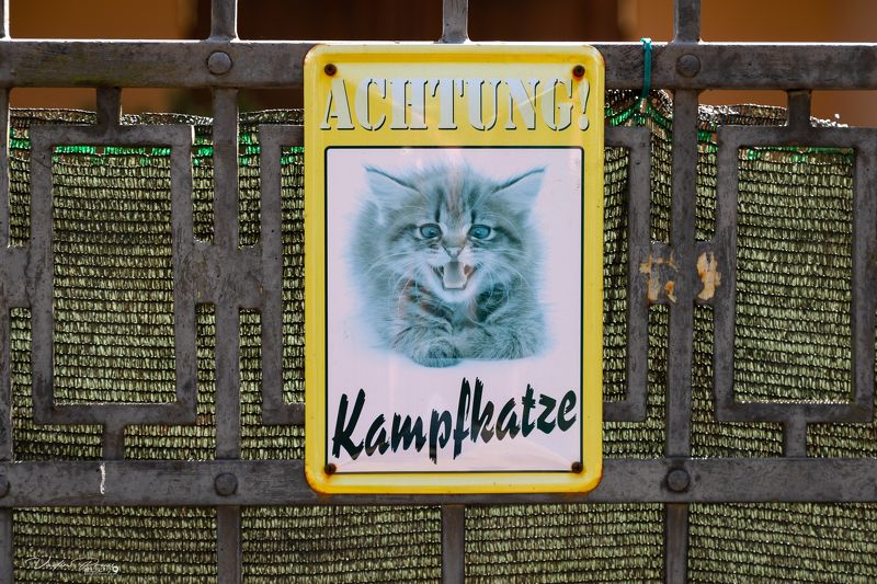 Зеленоградск, кот, табличка, юмор, позитив, предупреждение, фотография, забор, Россия, Свирин Вадим, Zelenogradsk, cat, sign, humor, positive, warning, photograph, fence, Russia, Vadim Svirin Внимание! Боевой кот. фото превью