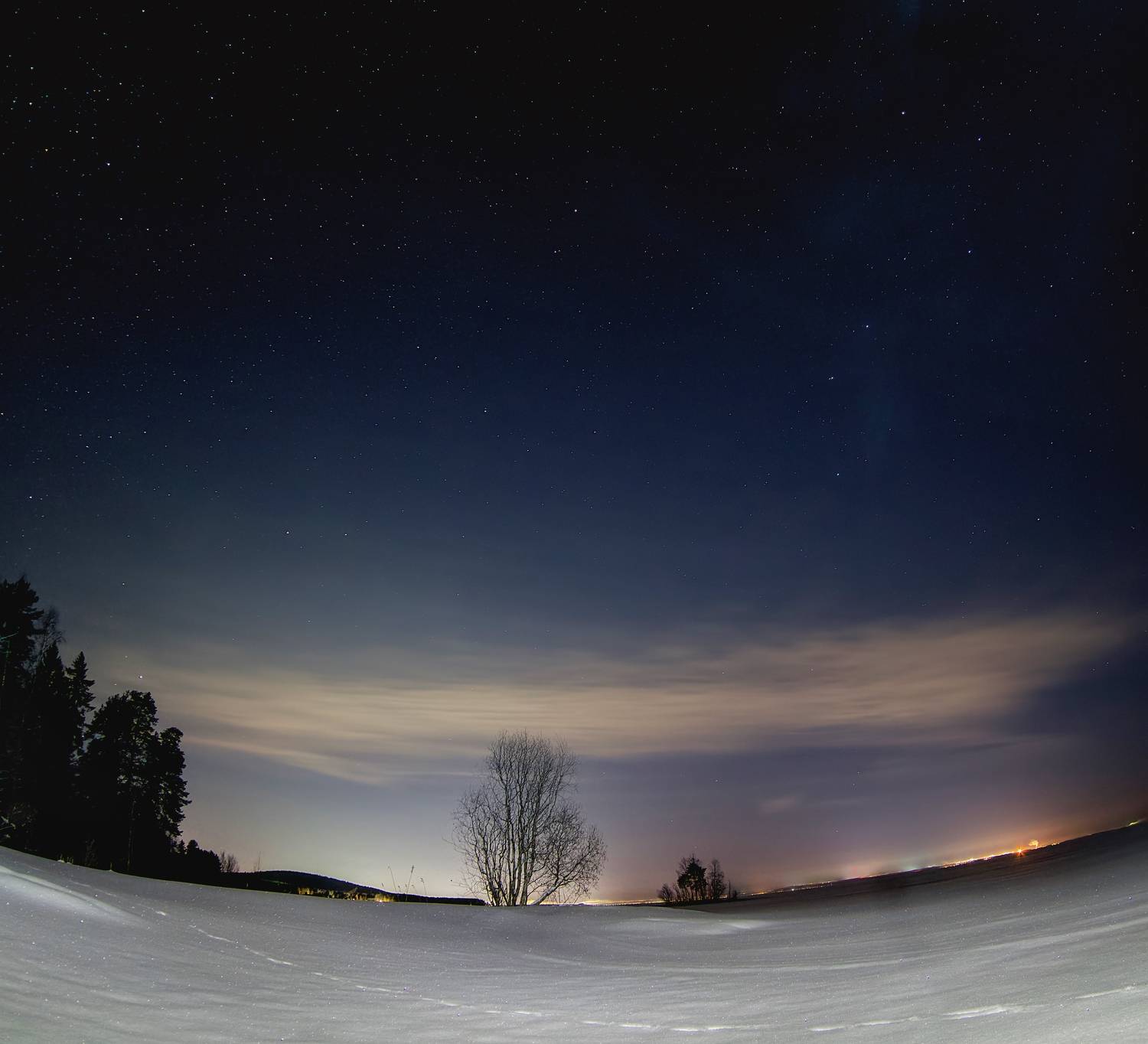 , Шишпанов Игорь