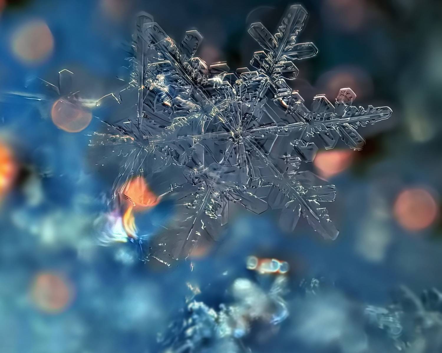 , Кузнецов Дмитрий