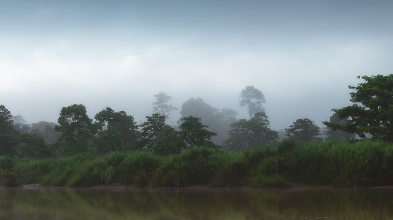 Туманное утро на реке Кинабатанган фото превью