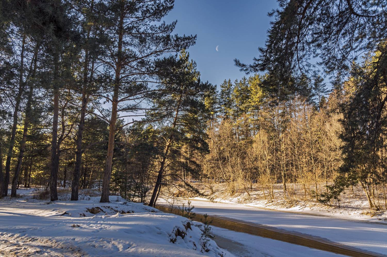 , Шитов Александр
