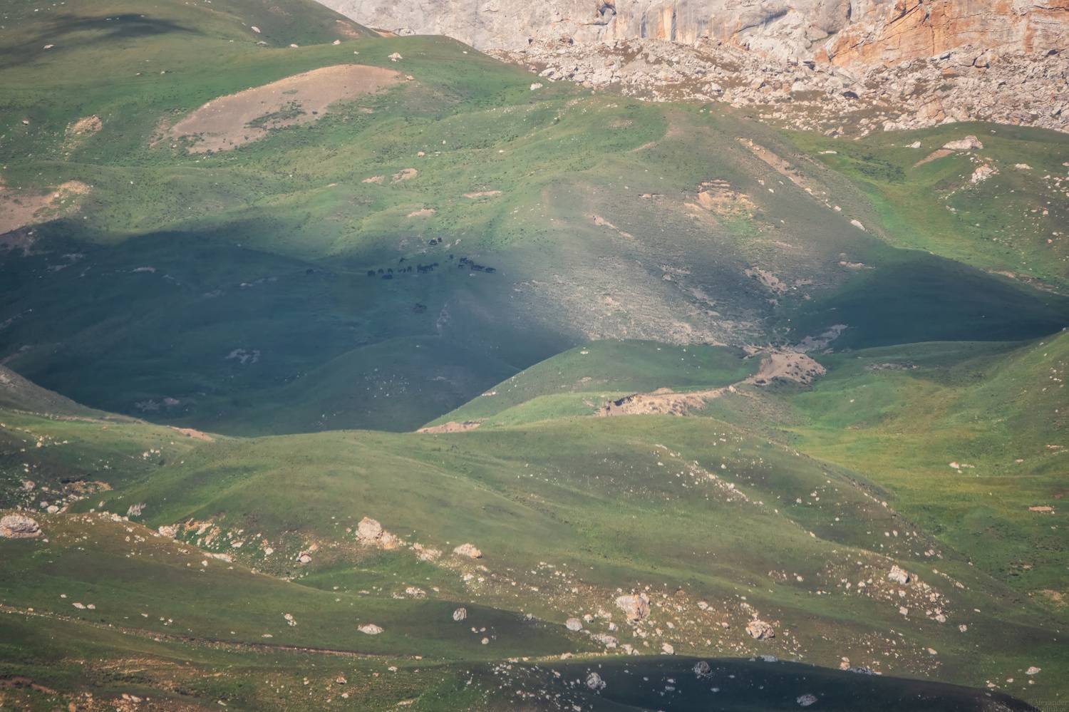 пейзаж, природа, выпас, кавказ, горы, mountains, nature, landscape, grazing, caucasus, Дудников Александр